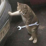 Photo du profil de l'utilisateur